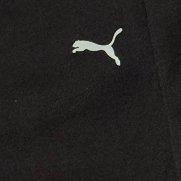 Puma Sweatpants Speedcat F1 Ferrari Mostro Nike Dunk Jordan 1 Retro Adidas Samba